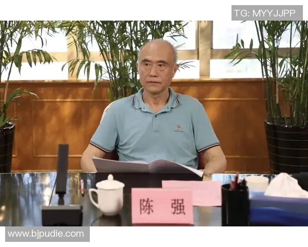 深度对话：探索陈强在篮球世界中的奋斗与成长之路