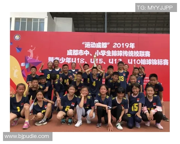 成都排球队实力深度解析及对比分析报告